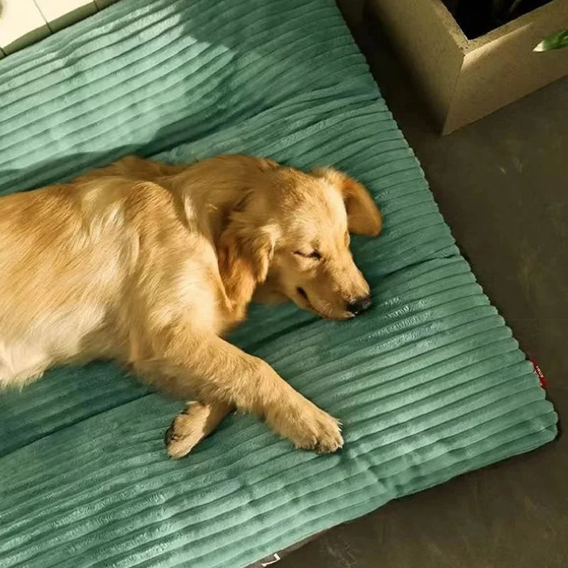 Cama Pet Fofura