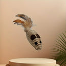 Ratinho de Caça Pet